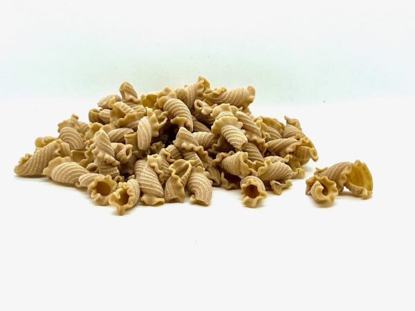 Steinpilz-Campanelle